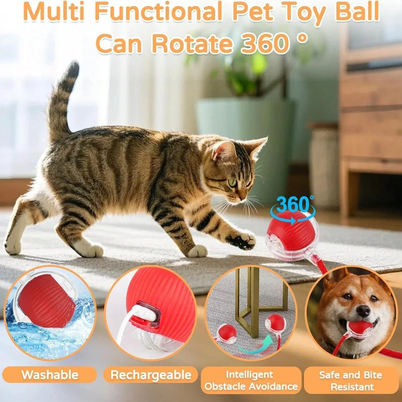 Automatic Rolling Ball