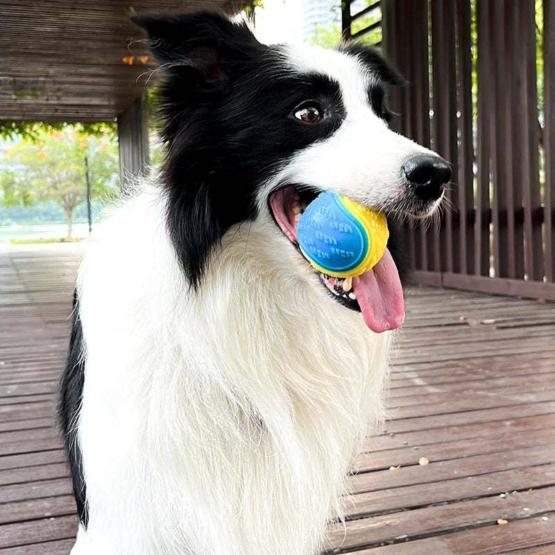 Squeaky Dog Ball