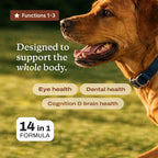 DF-14 Daily Foundation: 14-In-1 Multifunctional Dog Supplement Powder - Longevity Support Made Simple with One Easy Daily Scoop