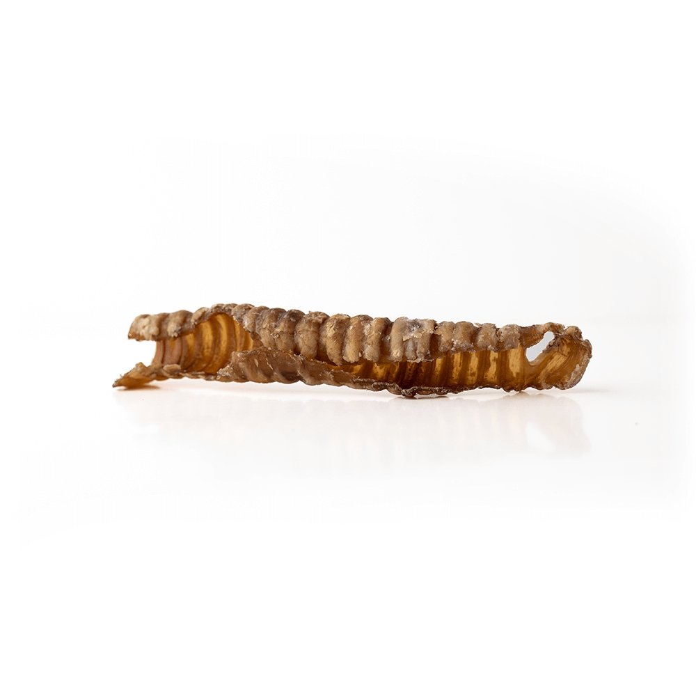 5-7" Lamb Trachea