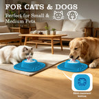 Pawlove Food Slow Feeder Bowl - Anti-Slip Ball-In Design, 3/4 Cup Capacity Neater Feeder for Liquid Treats, Bone Broth, Anxiety Relief Licking Bowl, Dishwasher Safe, Post-Op Feeding Toy for All Dog Breeds | Pet Supplies