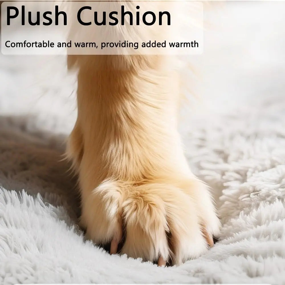 Classic Fabric Dog Bed - Detachable Shelter, Soft Machine Washable Tent Design, Compact & Portable Lightweight Indoor Hideaway for Small Dogs, Bedroom & Living Room Use