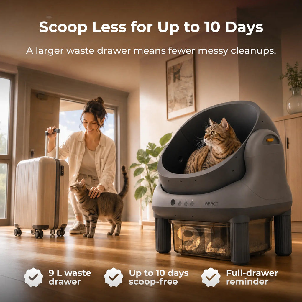 ABRCT L1 Open Top Automatic Self-Cleaning Litter Box, Electronic Hands-Free Smart Robot Litter Box, App Control, Safe Anti-Pinch Sensors, Included Liner, for Medium-Sized Cats, Automatic Litter Box