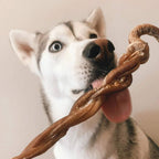 8-11" Braided Lamb Pizzle Stick