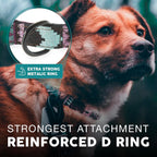 Embark Adventure Small Dog Collar – Stylish, Durable Nylon, Adjustable & Comfortable, Strong Buckle, Unisex