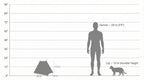 The Urban Teepee Pet House