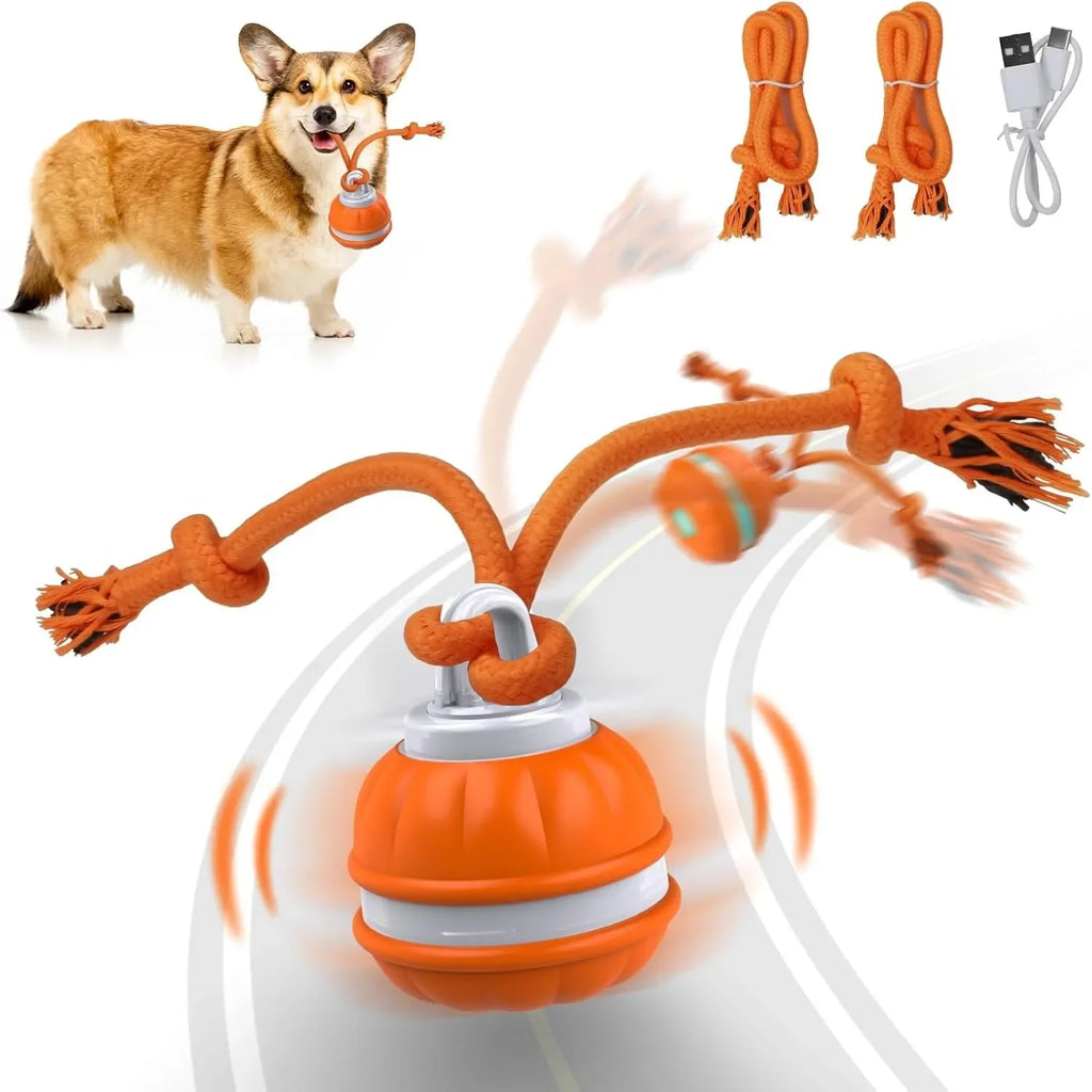 Interactive Pet Ball for Dogs - Motion Activated