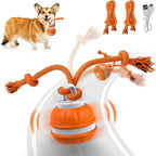 Interactive Pet Ball for Dogs - Motion Activated
