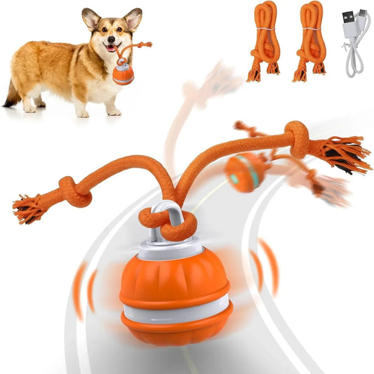 Interactive Pet Ball for Dogs - Motion Activated