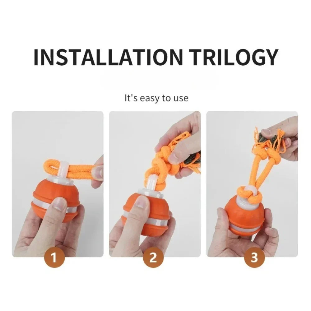 Interactive Pet Ball for Dogs - Motion Activated