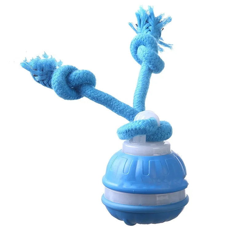 Interactive Pet Ball for Dogs - Motion Activated
