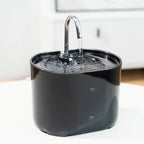 Cats Water Fountain Automatic