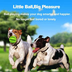 Soft chewing ball for food