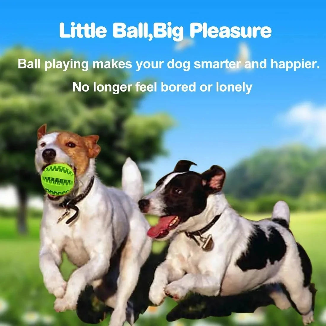 Soft chewing ball for food
