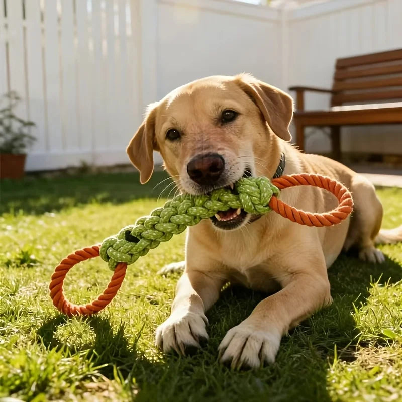 Durable Dog Rope Knot Toy