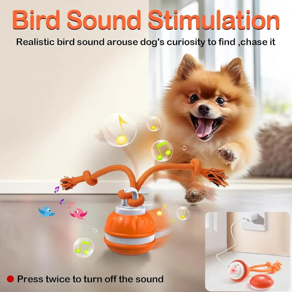 Motion-Activated Rolling Ball with Rope