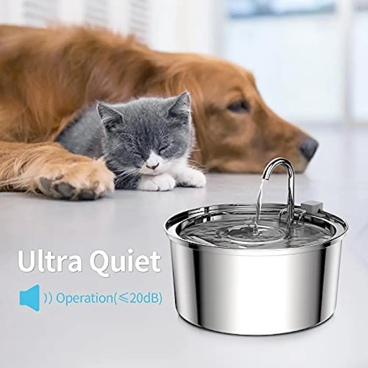 Water Fountain Stainless Steel