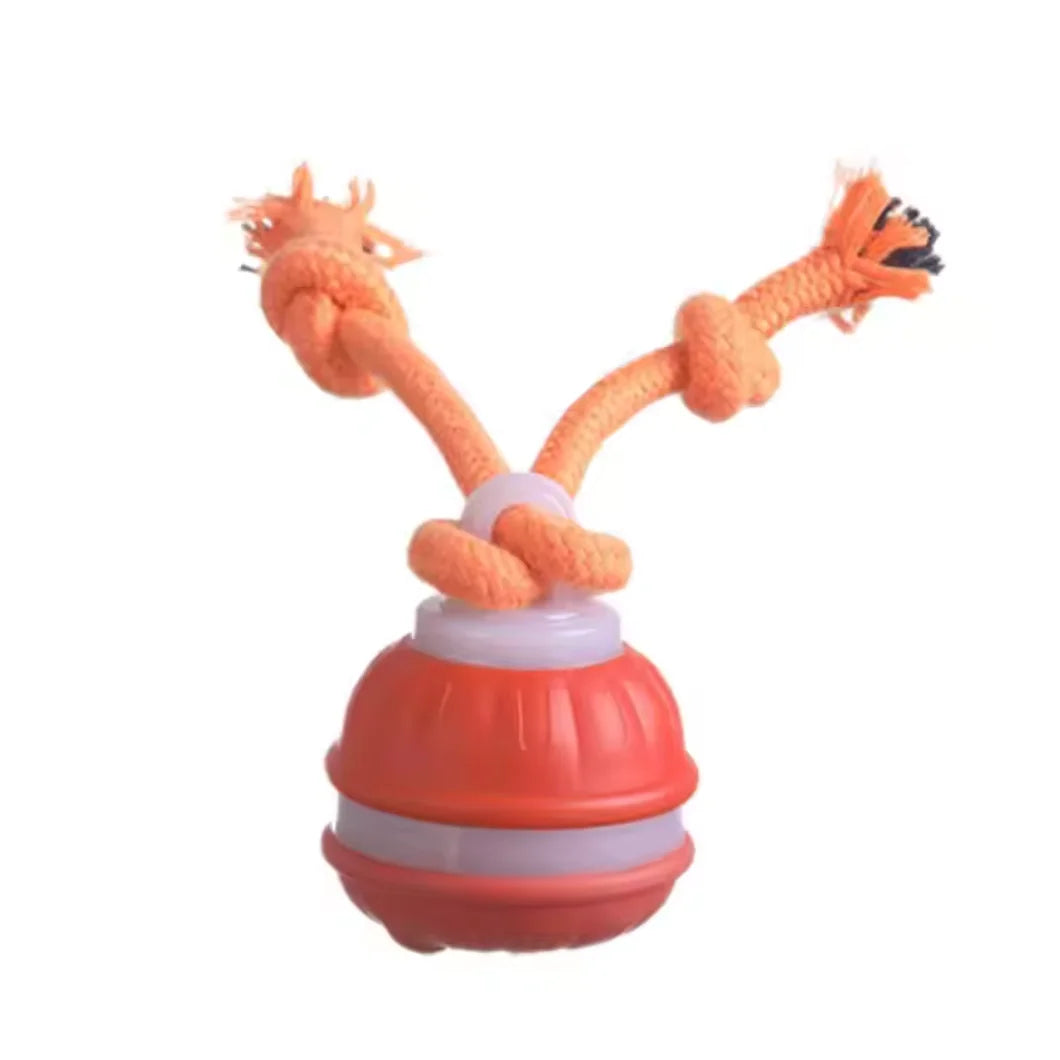 Motion-Activated Rolling Ball with Rope