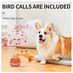 Interactive Pet Ball for Dogs - Motion Activated