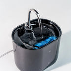 Cats Water Fountain Automatic