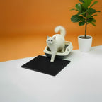 2x layer Cat Litter Mat