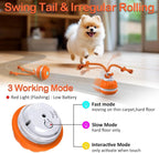 Interactive Pet Ball for Dogs - Motion Activated