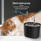 Cats Water Fountain Automatic