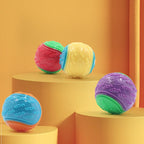 Squeaky Dog Ball