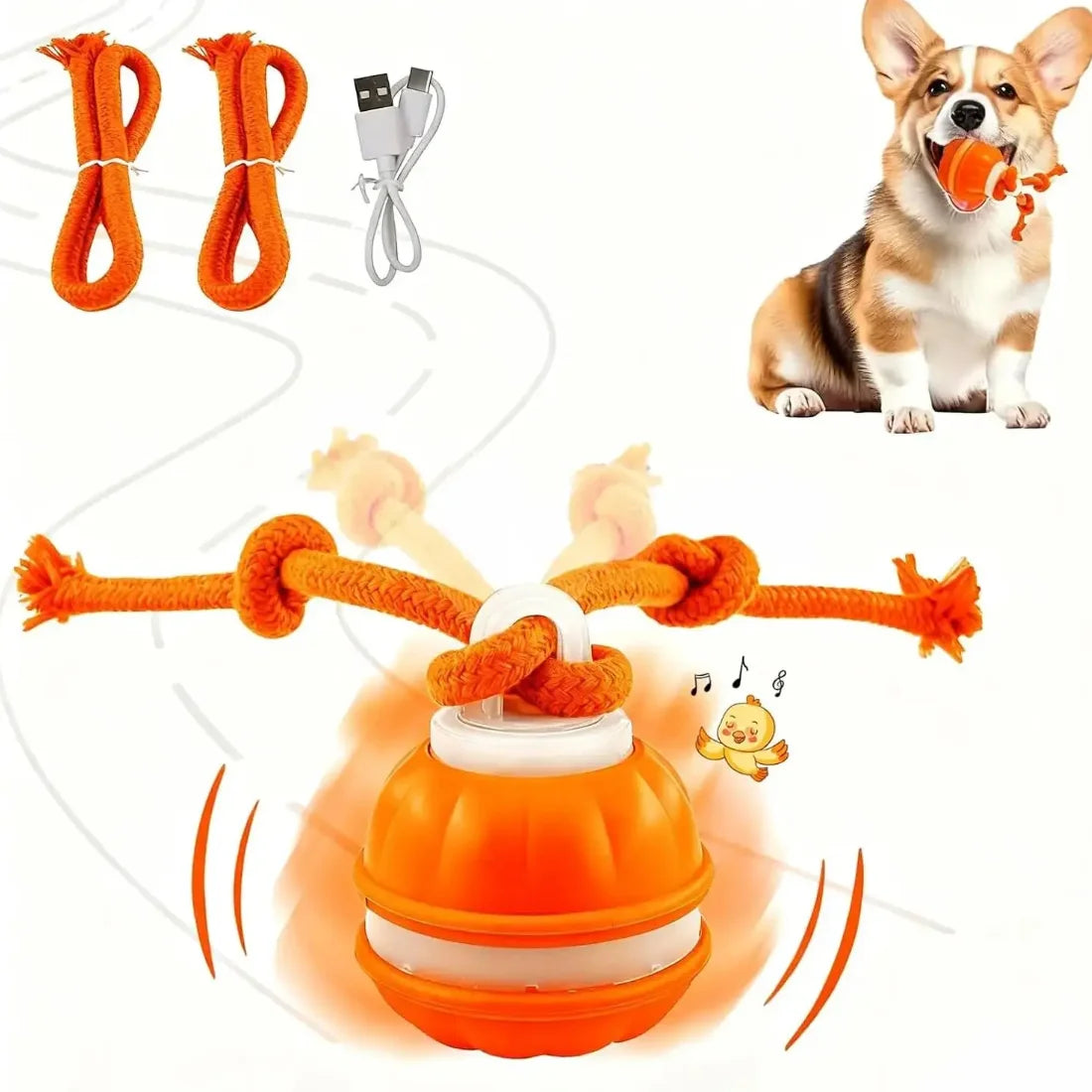 Motion-Activated Rolling Ball with Rope