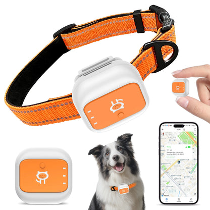 4G GPS Pet Tracking Collar