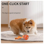 Interactive Pet Ball for Dogs - Motion Activated