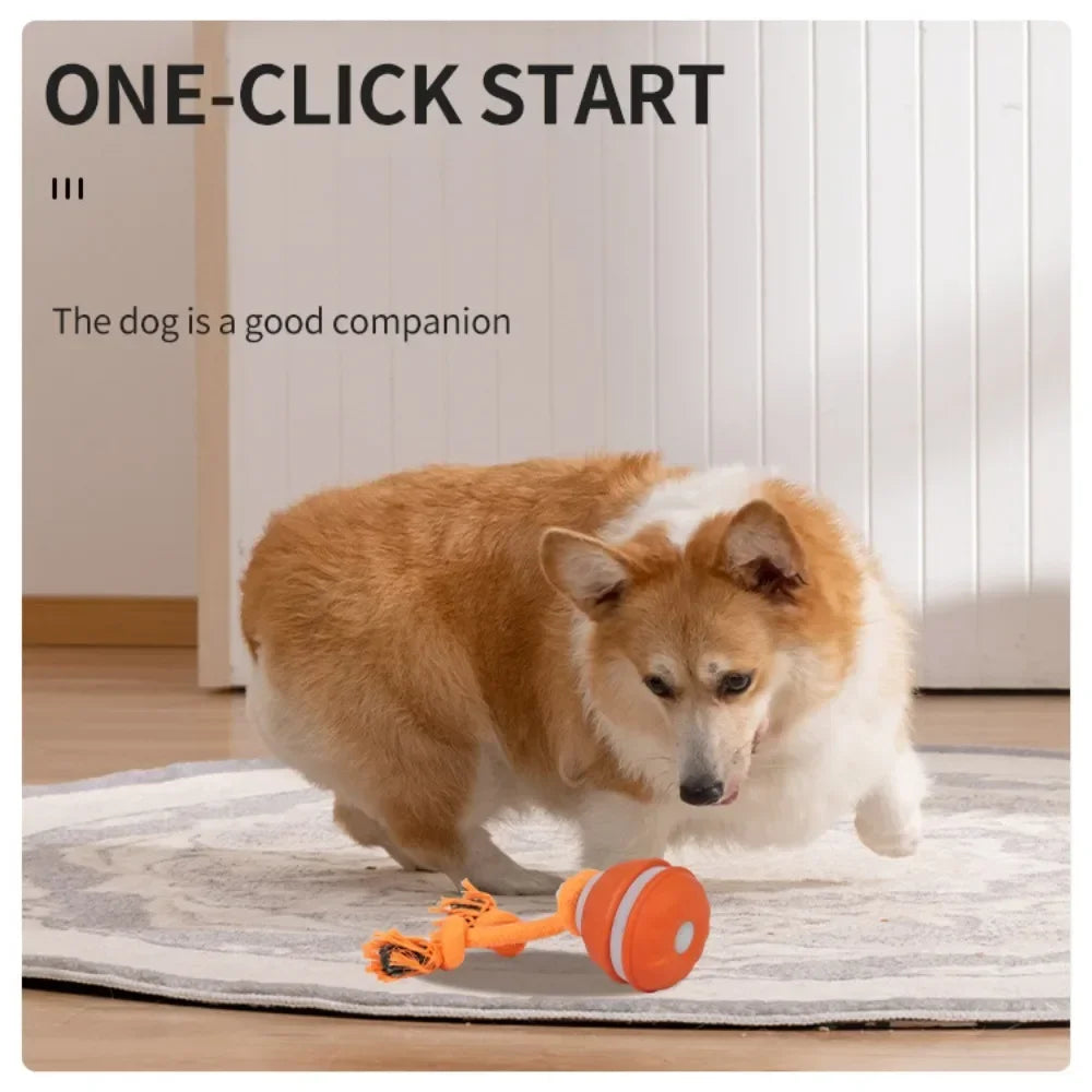 Interactive Pet Ball for Dogs - Motion Activated