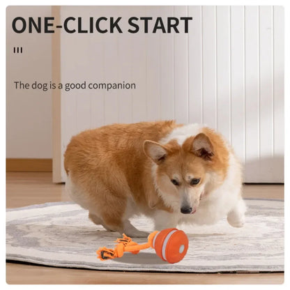 Interactive Pet Ball for Dogs - Motion Activated