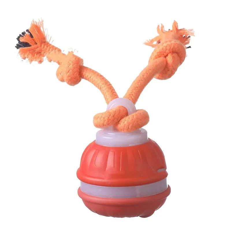 Interactive Pet Ball for Dogs - Motion Activated