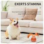 Interactive Pet Ball for Dogs - Motion Activated