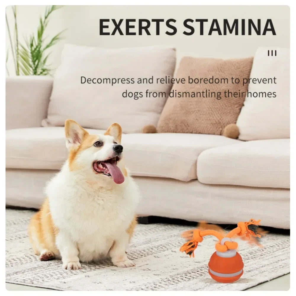 Interactive Pet Ball for Dogs - Motion Activated