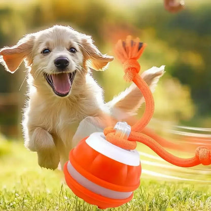 Motion-Activated Rolling Ball with Rope