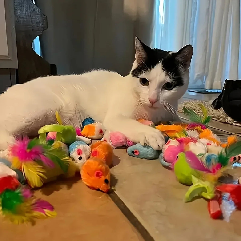 Kitten Toys Variety Pack