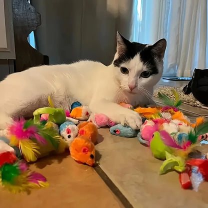 Kitten Toys Variety Pack