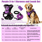 HELETY Purple 3-In-1 No-Pull Dog Vest Harness & Leash Set, Adjustable S-XL Sizes, Dual Front & Back D-Ring Clips, 360° 3M Reflective, Padded Chest, Oxford Fabric, Night Safety, Built-In Poop Bag Holder, Tangle-Free Cooling Step-Design Strap Running Bungee