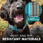 Embark Adventure Small Dog Collar – Stylish, Durable Nylon, Adjustable & Comfortable, Strong Buckle, Unisex