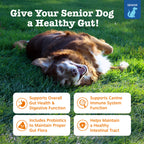 Senior Advanced Probiotic Bites for Dogs Chicken Flavor, 90 Count