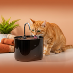 Cats Water Fountain Automatic