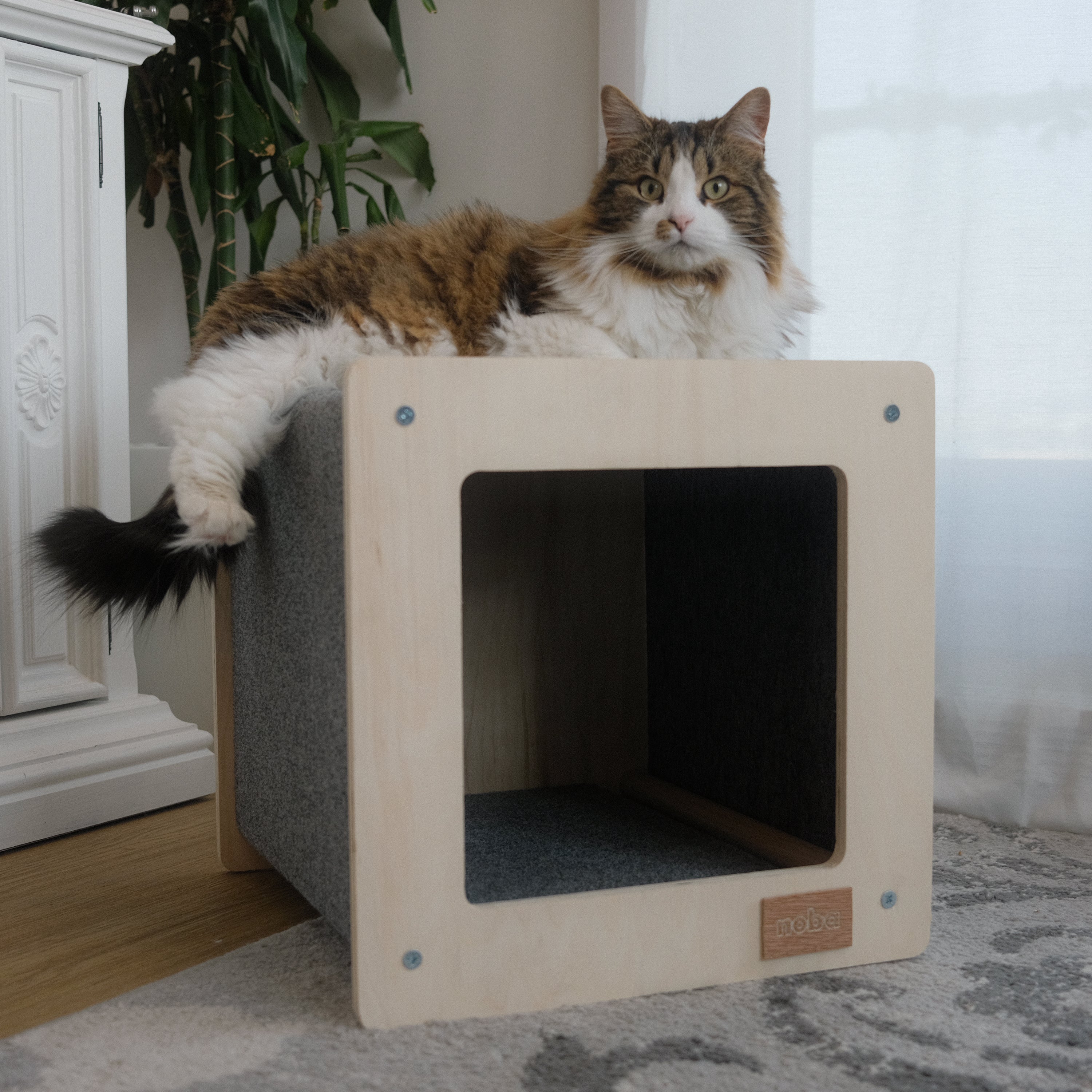 The Urban Hut Pet House