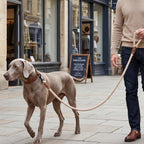 Dog Leash, Braided Cotton Rope Leashes with Leather Tip - Heavy Duty Metal Clasp, 6FT, 1/2" Thick - Wedding, Walking & Training Leash for Small Medium Large Dogs (Light Brown)