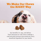 Senior Advanced Probiotic Bites for Dogs Chicken Flavor, 90 Count