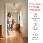 Interactive Retractable Bungee Cat Kitty Toy , Automatic Hanging Door Cat Toy, USB Rechargeable Auto Lifting Cat Teaser, Indoor Self-Play Exercise Toy for Boredom Relief Hanging Door Interactive Cat Teaser Electric Toy Pet Training Gift Breed