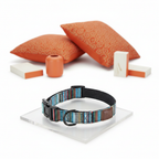 Embark Adventure Small Dog Collar