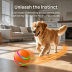 Interactive Dog Toys: Dog Ball [Newly Upgraded] - Durable, Motion Activated Automatic Rolling Ball Toys for Small, Medium, and Large Dogs, USB Rechargeable Springtok