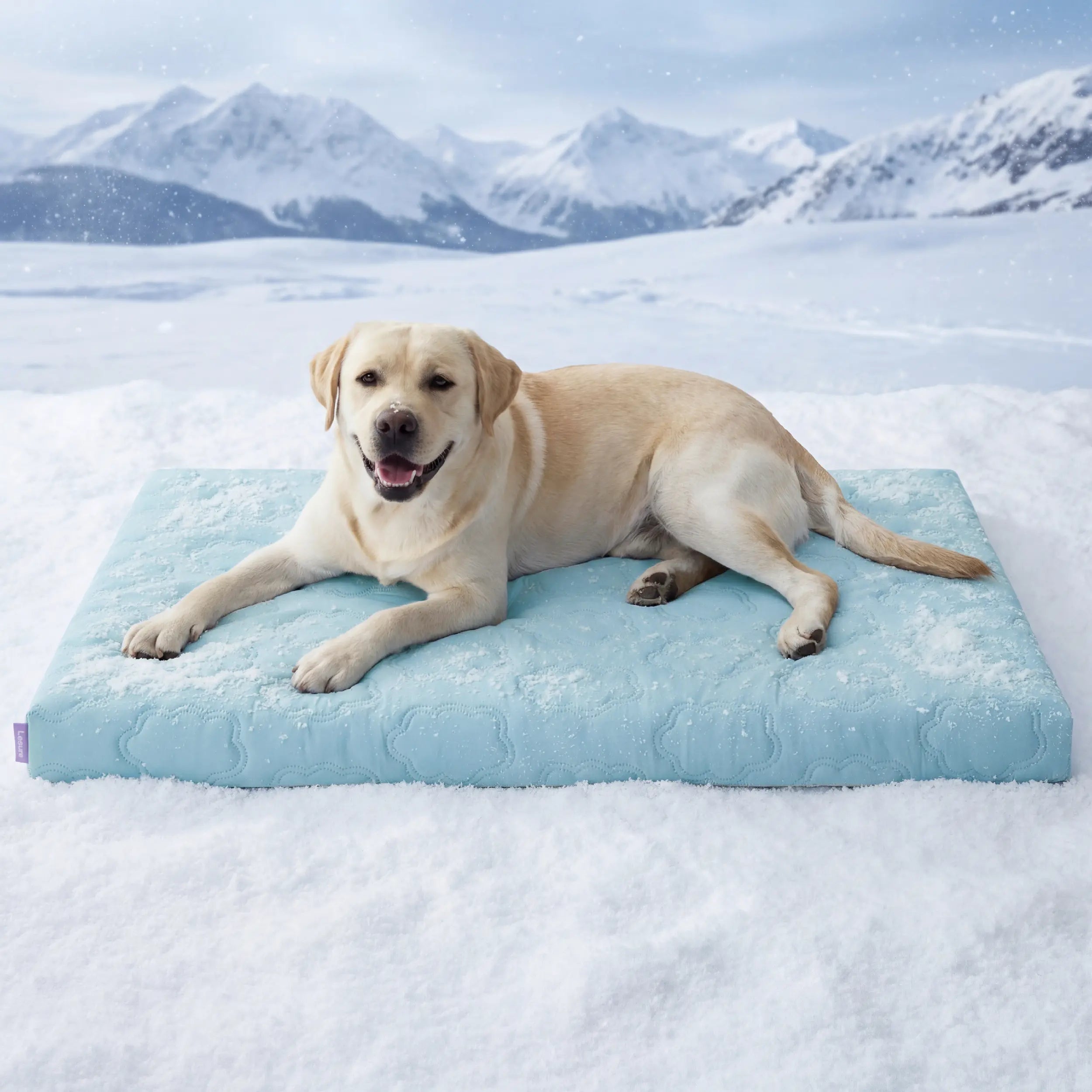 Bedsure Pet Cooling Blanket for Dogs & Cats, Washable Breathable Ice Throw for Couch & Bed